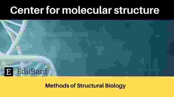 Center for molecular structure  Congress satellite seminar "Methods of Structural Biology" on August 13, 2021