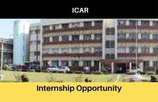 Internship opportunity at ICAR, Apply Now, Stipned 5000 Per Month, Division of Genetics